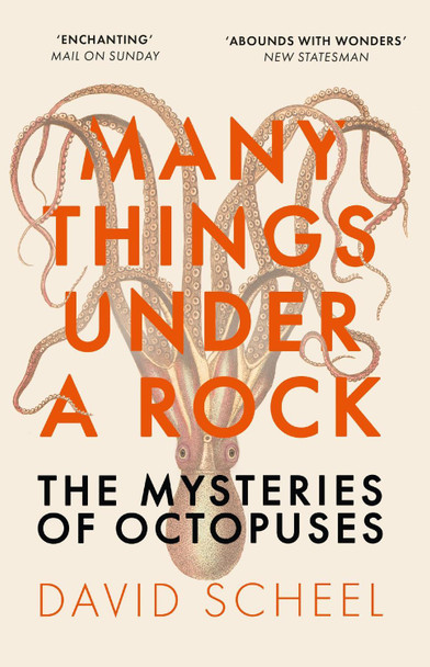 Many Things Under a Rock: The Mysteries of Octopuses by David Scheel 9781529392647