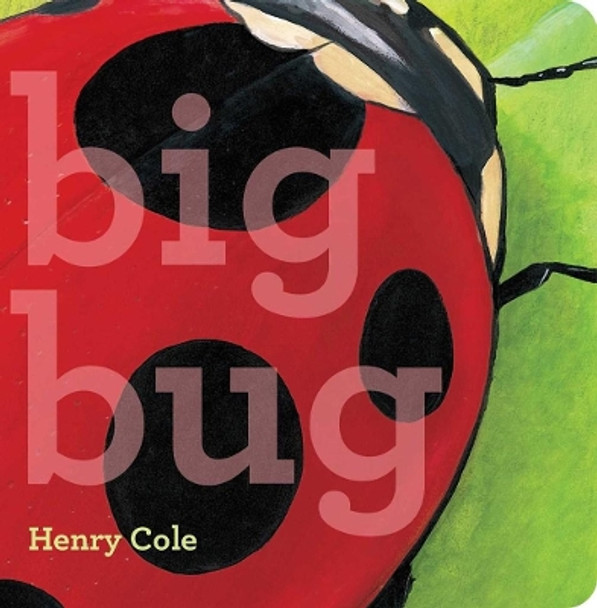 Big Bug by Henry Cole 9781534416901