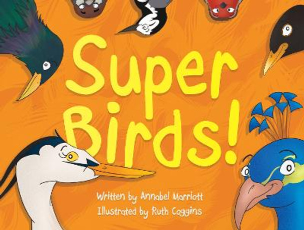 Super Birds! by Annabel Marriott