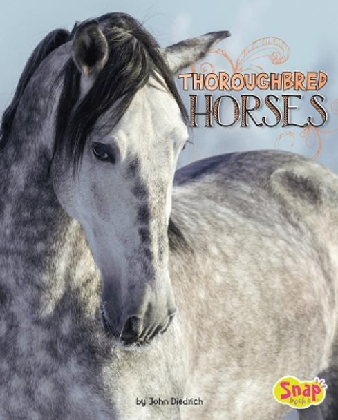 Horse Breeds: Thoroughbred Horses by John Diedrich 9781543500417