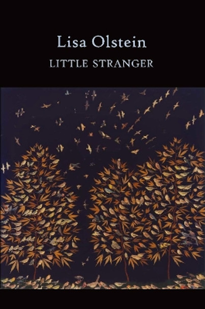 Little Stranger by Lisa Olstein 9781556594328