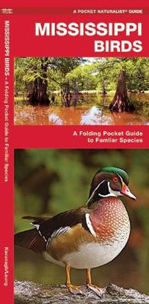 Mississippi Birds: A Folding Pocket Guide to Familiar Species by James Kavanagh 9781583552278