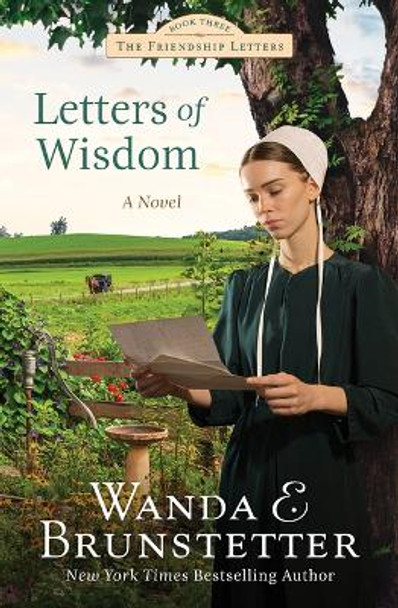 Letters of Wisdom: Friendship Letters #3 Volume 3 by Wanda E Brunstetter 9781636096223