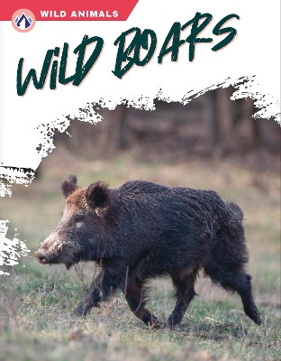 Wild Boars by Libby Wilson 9781637384459