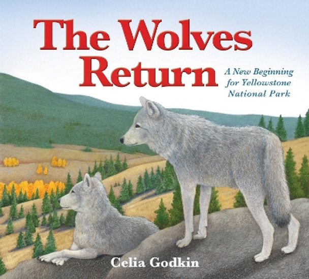 The Wolves Return: A New Beginning for Yellowstone National Park by Celia Godkin 9781772780116