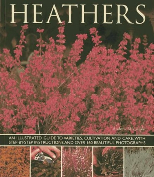 Heathers: An Illustrated Guide to Varities, Cultivation and Care, with Step-by-step Instructions and Over 160 Beautiful Photographs by Andrew Mikolajski 9781780192642