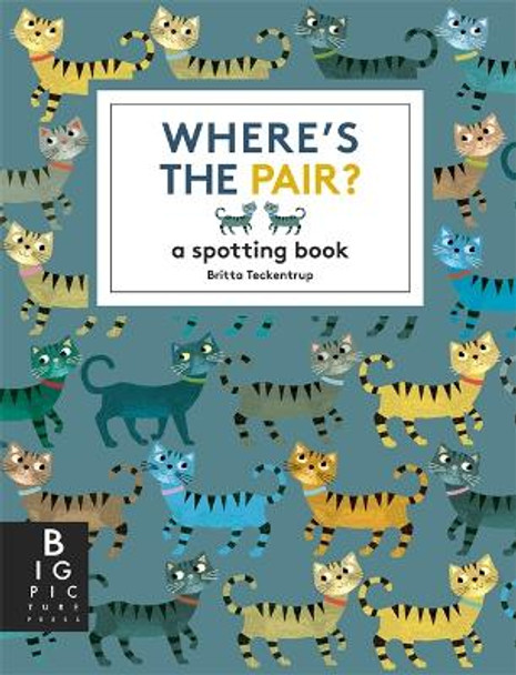 Where's the Pair?: A Spotting Book by Britta Teckentrup 9781800787872