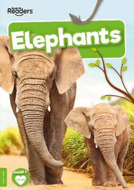 Elephants by Charis Mather 9781805050643