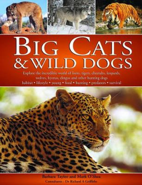 Big Cats and Wild Dogs by Barbara Taylor 9781844761319