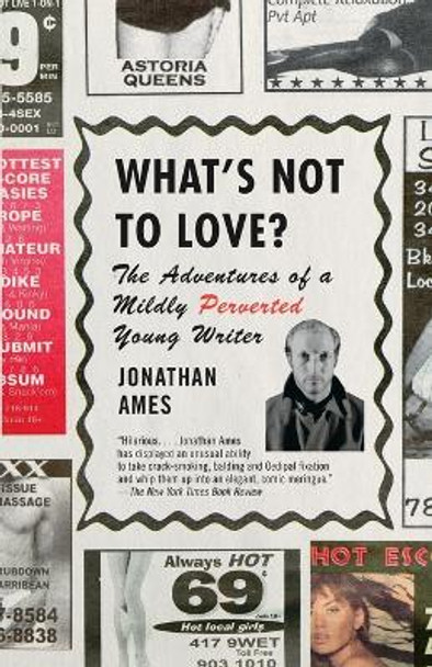 What's Not to Love?: The Adventures of a Mildly Perverted Young Writer by Jonathan Ames 9780375726491