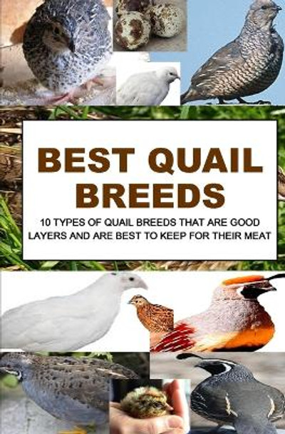 Best Quail Breeds: 10 Types Of Quail Breeds That Are Good Layers And Are Best To Keep For Their Meat by F Otieno 9781533498168