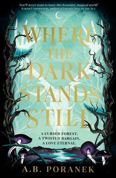 Where the Dark Stands Still by A.B. Poranek 9780241622155