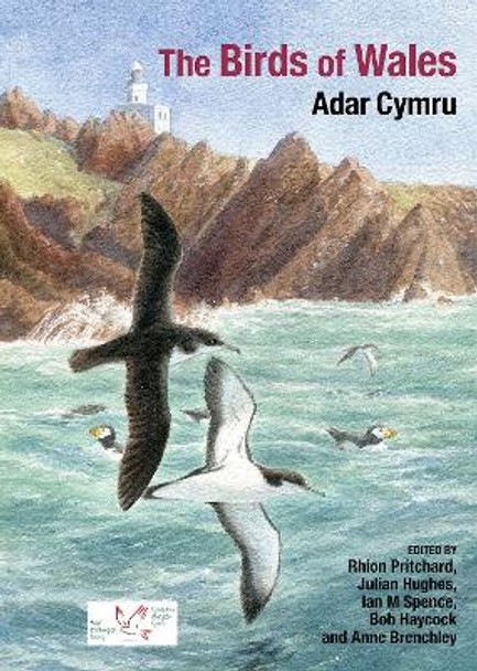 The Birds of Wales by Rhion Pritchard 9781800859722