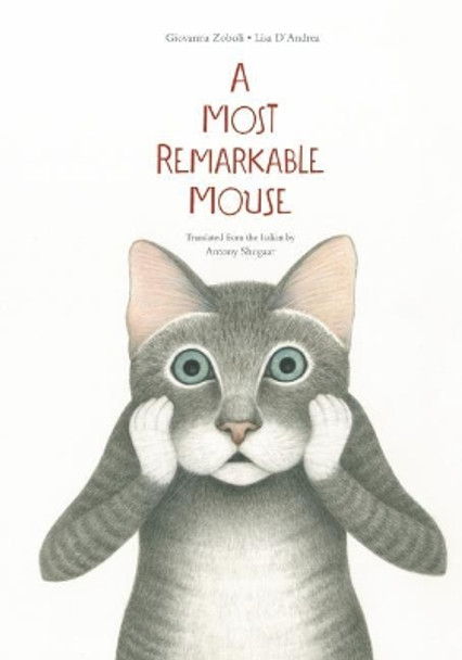 A Most Mysterious Mouse by Giovanna Zoboli 9781592702138