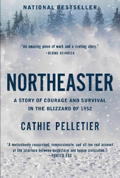 Northeaster: A Story of Courage and Survival in the Blizzard of 1952 by Cathie Pelletier 9781639365807