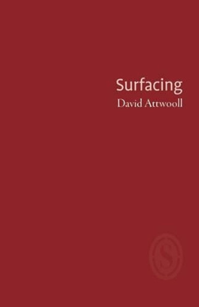 Surfacing by David Attwooll 9781906613914