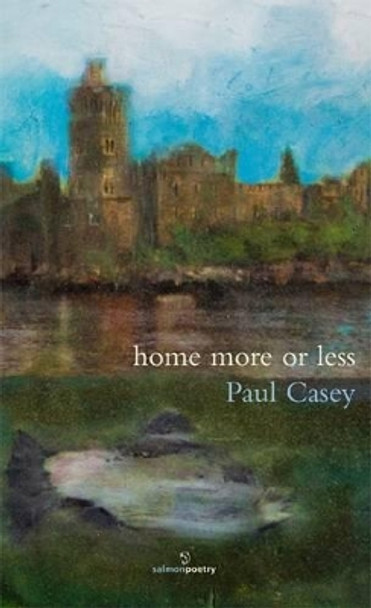 Home More or Less by Paul Casey 9781908836090