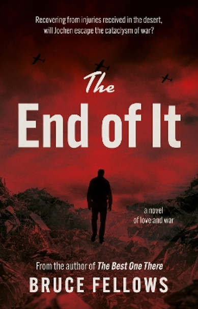 The End of It by Bruce Fellows 9781916668102