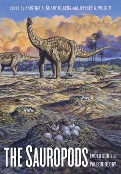 The Sauropods: Evolution and Paleobiology by Kristina Curry Rogers 9780520246232