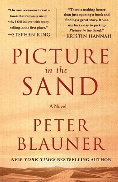 Picture in the Sand by Peter Blauner 9781250904133