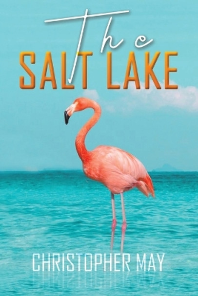 The Salt Lake by Christopher May 9781398413719