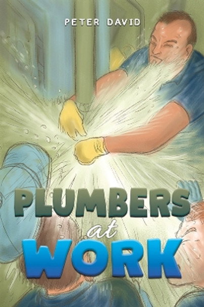 Plumbers at Work by Peter David 9781398488472