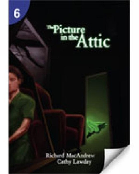 The Picture in the Attic: Page Turners 6 by Richard MacAndrew 9781424017959