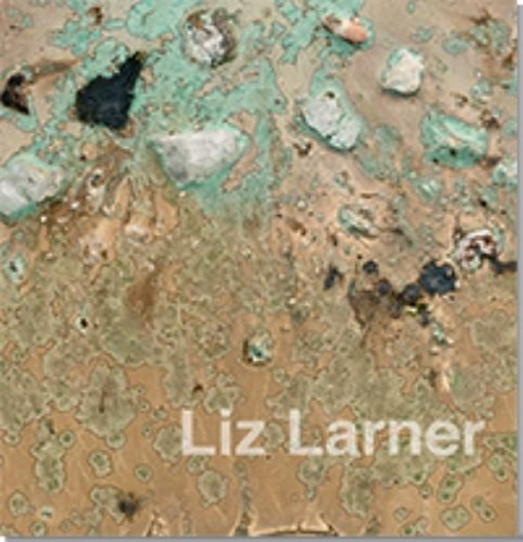 Liz Larner by Peter Pakesch 9783935567916