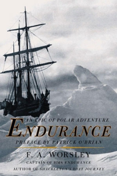 Endurance by Frank Arthur Worsley 9780393319941