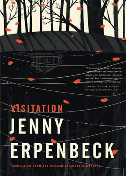 Visitation by Jenny Erpenbeck 9780811218351