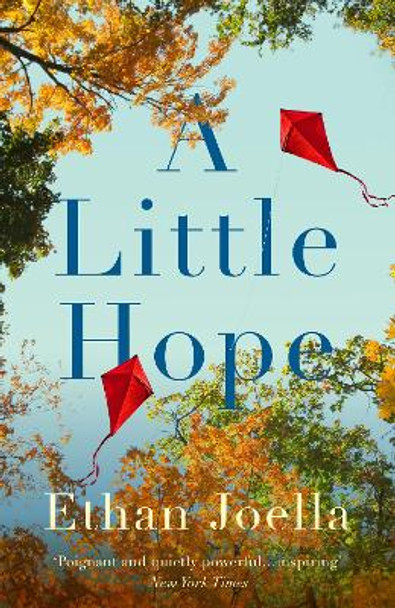 A Little Hope by Ethan Joella 9781739966003