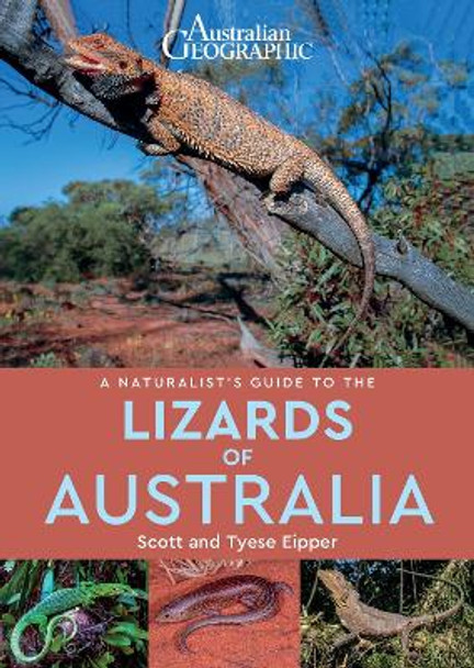 A Naturalist's Guide to the Lizards of Australia by Scott Eiper 9781913679064