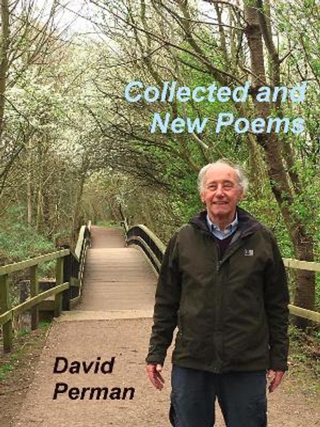 Collected and New Poems by David Perman 9781904851837