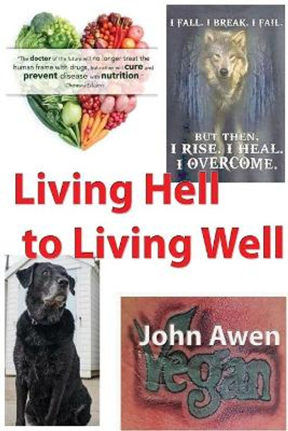 Living Hell to Living Well by John Awen 9781916014091