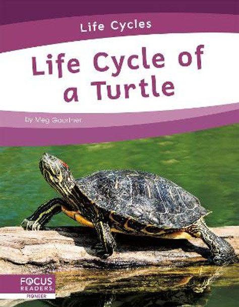 Life Cycle of a Turtle by Meg Gaertner 9781644938799