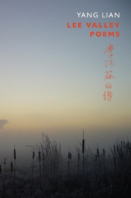 Lee Valley Poems by Yang Lian 9781852248345