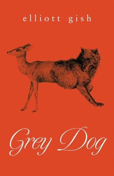 Grey Dog by Elliott Gish 9781770417328