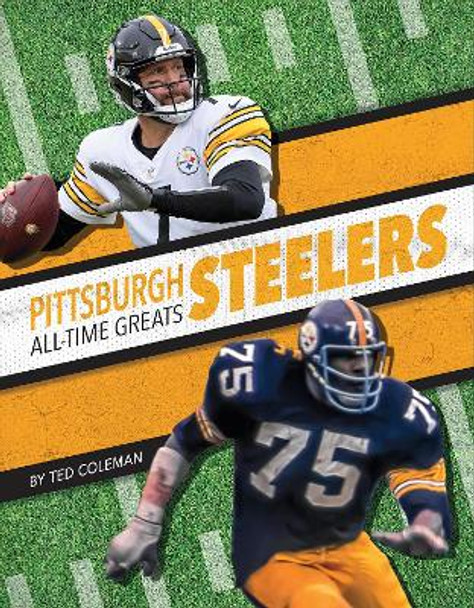 Pittsburgh Steelers by Ted Coleman 9781634943819