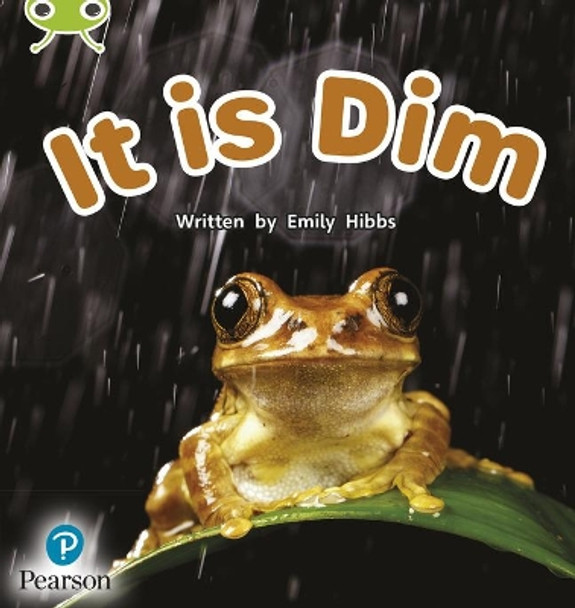 Bug Club Phonics Non-Fiction Early Years and Reception Phase 2 It is Dim by Emily Hibbs 9781292407852