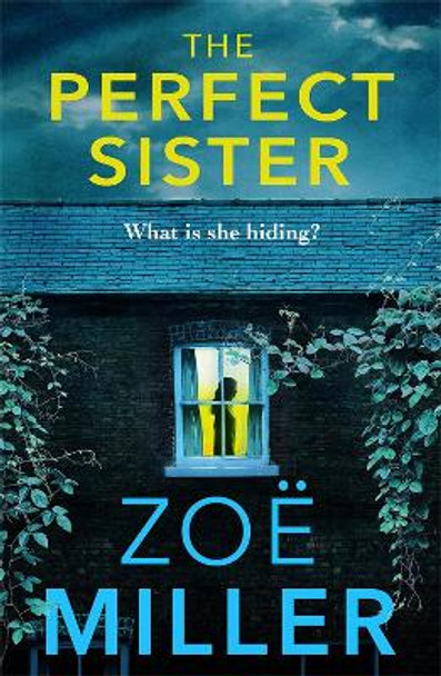 The Perfect Sister: A compelling page-turner that you won't be able to put down by Zoe Miller 9781529385052