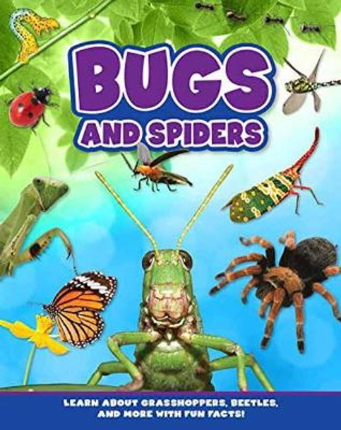 Bugs and Spiders by Flying Frog 9781423656067