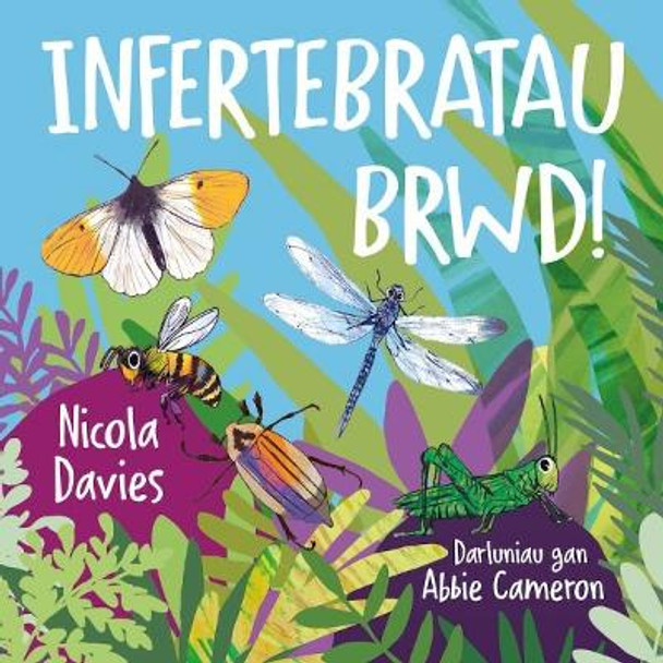Infertebratau brwd! by Nicola Davies 9781802582376