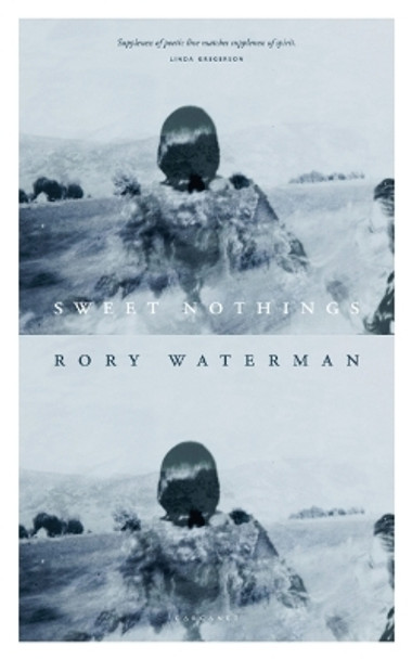 Sweet Nothings by Rory Waterman 9781784109394