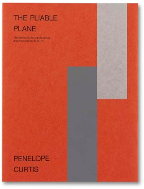 The Pliable Plane by Penelope Curtis 9781913620844