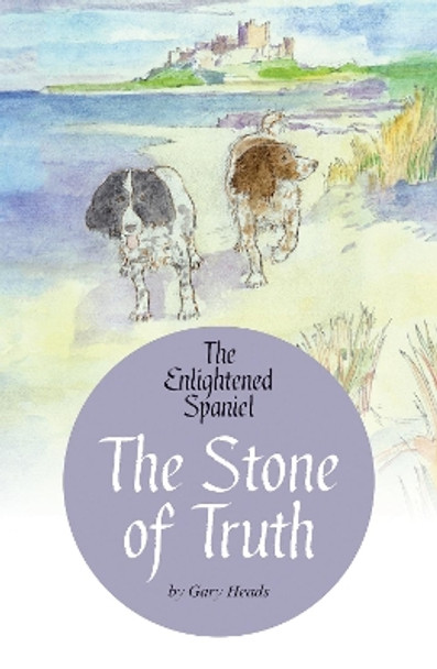 The Stone of Truth by Gary Heads 9781916446861