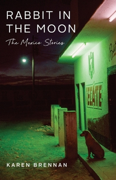 Rabbit in the Moon: The Mexico Stories by Karen Brennan 9781639640454