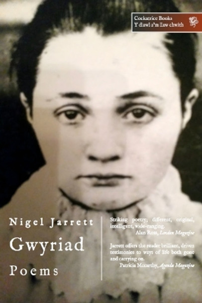 Gwyriad: Poems by Nigel Jarrett 9781912368464