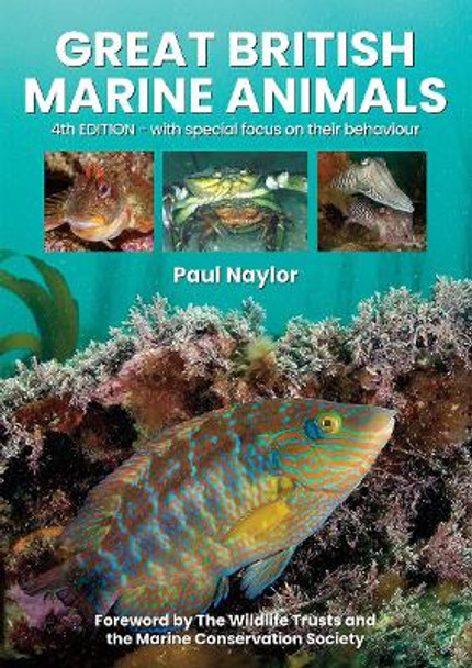 Great British Marine Animals by Paul Naylor 9780952283171