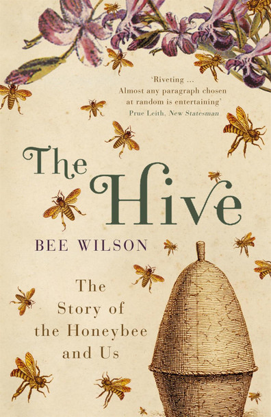The Hive Bee Wilson 9780719565984