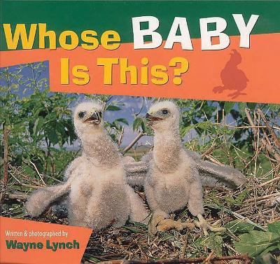 Whose Baby is This? by Lynch 9781552850640